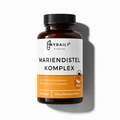 Mariendistel Artischocke Löwenzahn Komplex